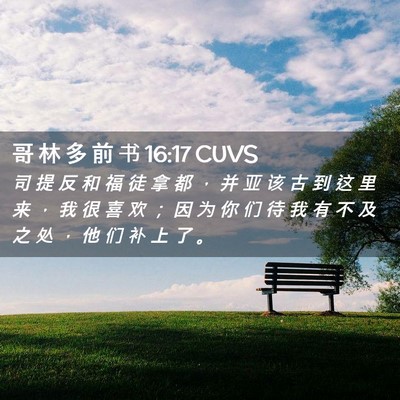 Picture 02 - 哥 林 多 前 书 16:17 CUVS - 司 提 反 和 福 徒 拿 都 ， 并 亚 该 - Bible Verse Picture