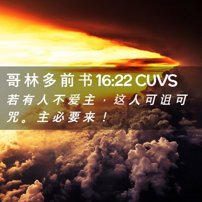 Picture 02 - 哥 林 多 前 书 16:22 CUVS - 若 有 人 不 爱 主 ， 这 人 可 诅 可 - Bible Verse Picture