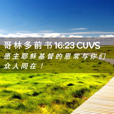 Picture 02 - 哥 林 多 前 书 16:23 CUVS - 愿 主 耶 稣 基 督 的 恩 常 与 你 们 - Bible Verse Picture