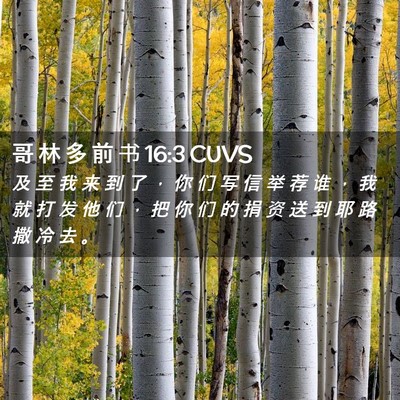 Picture 02 - 哥 林 多 前 书 16:3 CUVS - 及 至 我 来 到 了 ， 你 们 写 信 举 - Bible Verse Picture