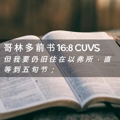 Picture 02 - 哥 林 多 前 书 16:8 CUVS - 但 我 要 仍 旧 住 在 以 弗 所 ， 直 - Bible Verse Picture