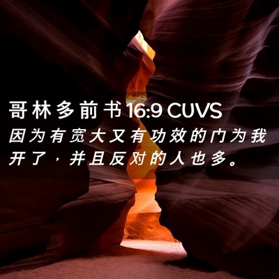 Picture 02 - 哥 林 多 前 书 16:9 CUVS - 因 为 有 宽 大 又 有 功 效 的 门 为 - Bible Verse Picture