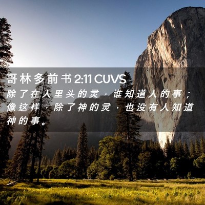 Picture 02 - 哥 林 多 前 书 2:11 CUVS - 除 了 在 人 里 头 的 灵 ， 谁 知 道 - Bible Verse Picture