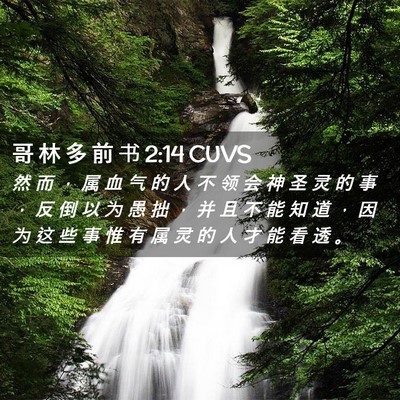 Picture 02 - 哥 林 多 前 书 2:14 CUVS - 然 而 ， 属 血 气 的 人 不 领 会 神 - Bible Verse Picture