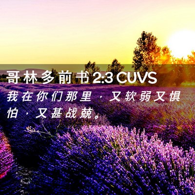 Picture 02 - 哥 林 多 前 书 2:3 CUVS - 我 在 你 们 那 里 ， 又 软 弱 又 惧 - Bible Verse Picture