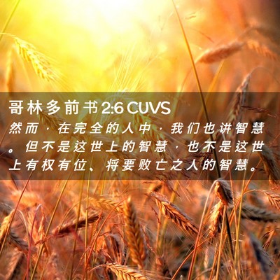 Picture 02 - 哥 林 多 前 书 2:6 CUVS - 然 而 ， 在 完 全 的 人 中 ， 我 们 - Bible Verse Picture