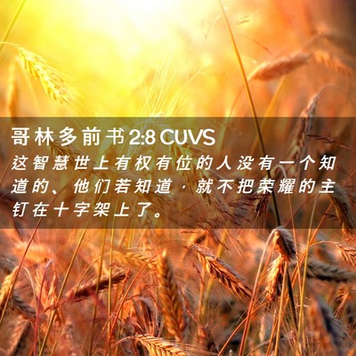 Picture 02 - 哥 林 多 前 书 2:8 CUVS - 这 智 慧 世 上 有 权 有 位 的 人 没 - Bible Verse Picture