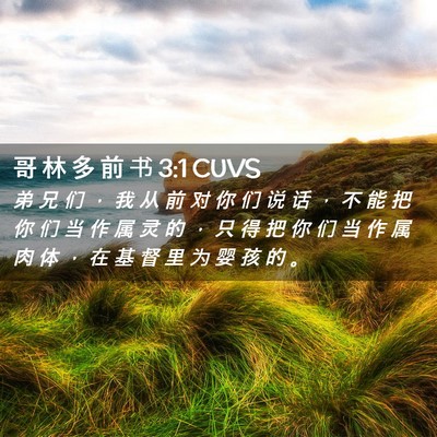 Picture 02 - 哥 林 多 前 书 3:1 CUVS - 弟 兄 们 ， 我 从 前 对 你 们 说 话 - Bible Verse Picture