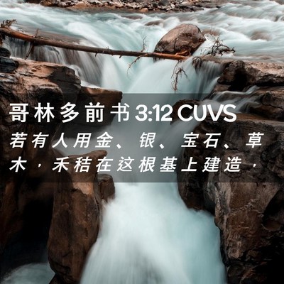 Picture 02 - 哥 林 多 前 书 3:12 CUVS - 若 有 人 用 金 、 银 、 宝 石 、 草 - Bible Verse Picture