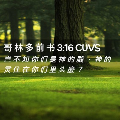 Picture 02 - 哥 林 多 前 书 3:16 CUVS - 岂 不 知 你 们 是 神 的 殿 ， 神 的 - Bible Verse Picture