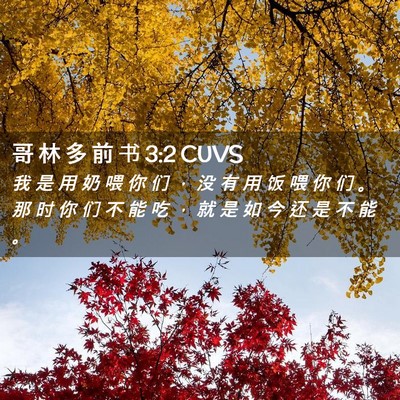 Picture 02 - 哥 林 多 前 书 3:2 CUVS - 我 是 用 奶 喂 你 们 ， 没 有 用 饭 - Bible Verse Picture