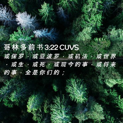 Picture 02 - 哥 林 多 前 书 3:22 CUVS - 或 保 罗 ， 或 亚 波 罗 ， 或 矶 法 - Bible Verse Picture