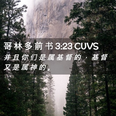 Picture 02 - 哥 林 多 前 书 3:23 CUVS - 并 且 你 们 是 属 基 督 的 ， 基 督 - Bible Verse Picture