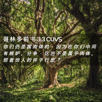Picture 02 - 哥 林 多 前 书 3:3 CUVS - 你 们 仍 是 属 肉 体 的 ， 因 为 在 - Bible Verse Picture