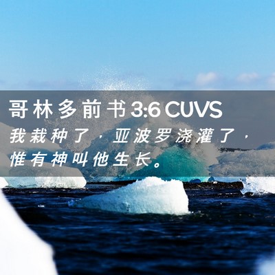 Picture 02 - 哥 林 多 前 书 3:6 CUVS - 我 栽 种 了 ， 亚 波 罗 浇 灌 了 ， - Bible Verse Picture