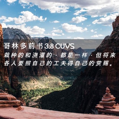 Picture 02 - 哥 林 多 前 书 3:8 CUVS - 栽 种 的 和 浇 灌 的 ， 都 是 一 样 - Bible Verse Picture