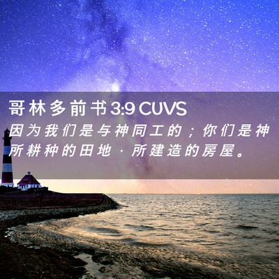 Picture 02 - 哥 林 多 前 书 3:9 CUVS - 因 为 我 们 是 与 神 同 工 的 ； 你 - Bible Verse Picture