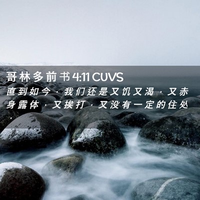 Picture 02 - 哥 林 多 前 书 4:11 CUVS - 直 到 如 今 ， 我 们 还 是 又 饥 又 - Bible Verse Picture
