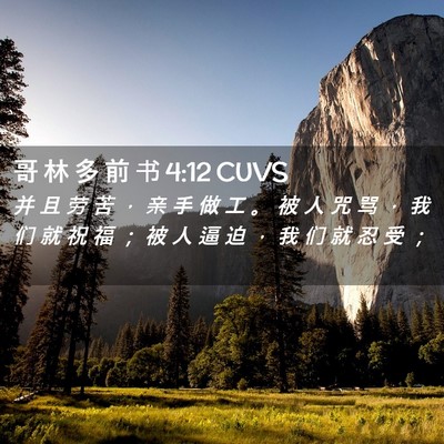 Picture 02 - 哥 林 多 前 书 4:12 CUVS - 并 且 劳 苦 ， 亲 手 做 工 。 被 人 - Bible Verse Picture