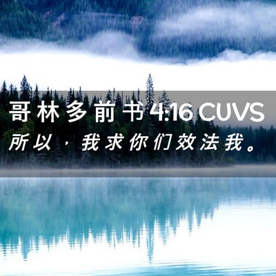 Picture 02 - 哥 林 多 前 书 4:16 CUVS - 所 以 ， 我 求 你 们 效 法 我 - Bible Verse Picture