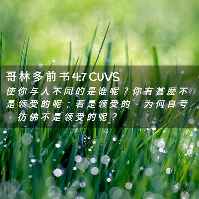 Picture 02 - 哥 林 多 前 书 4:7 CUVS - 使 你 与 人 不 同 的 是 谁 呢 ？ 你 - Bible Verse Picture