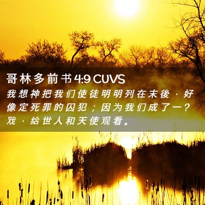 Picture 02 - 哥 林 多 前 书 4:9 CUVS - 我 想 神 把 我 们 使 徒 明 明 列 在 - Bible Verse Picture