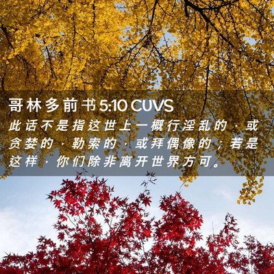 Picture 02 - 哥 林 多 前 书 5:10 CUVS - 此 话 不 是 指 这 世 上 一 概 行 淫 - Bible Verse Picture