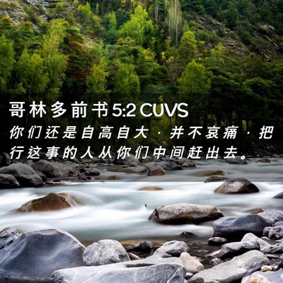 Picture 02 - 哥 林 多 前 书 5:2 CUVS - 你 们 还 是 自 高 自 大 ， 并 不 哀 - Bible Verse Picture