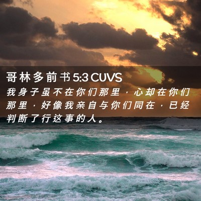 Picture 02 - 哥 林 多 前 书 5:3 CUVS - 我 身 子 虽 不 在 你 们 那 里 ， 心 - Bible Verse Picture