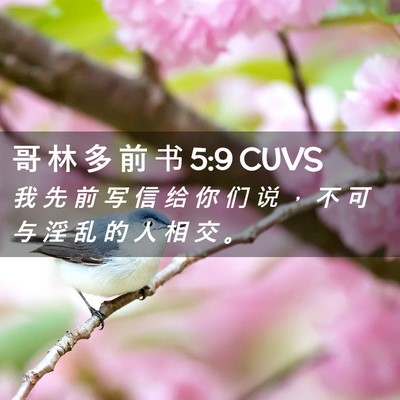Picture 02 - 哥 林 多 前 书 5:9 CUVS - 我 先 前 写 信 给 你 们 说 ， 不 可 - Bible Verse Picture