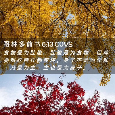 Picture 02 - 哥 林 多 前 书 6:13 CUVS - 食 物 是 为 肚 腹 ， 肚 腹 是 为 食 - Bible Verse Picture