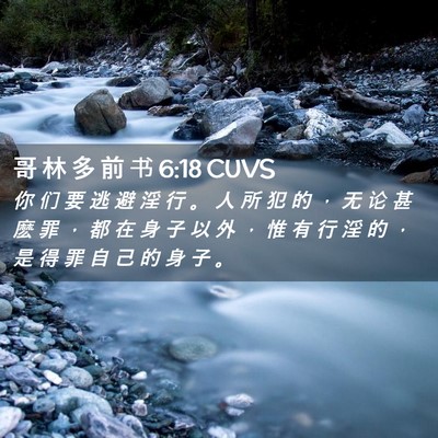 Picture 02 - 哥 林 多 前 书 6:18 CUVS - 你 们 要 逃 避 淫 行 。 人 所 犯 的 - Bible Verse Picture