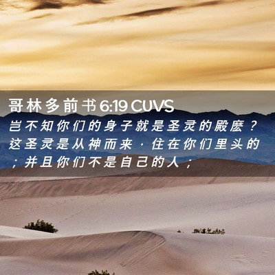 Picture 02 - 哥 林 多 前 书 6:19 CUVS - 岂 不 知 你 们 的 身 子 就 是 圣 灵 - Bible Verse Picture