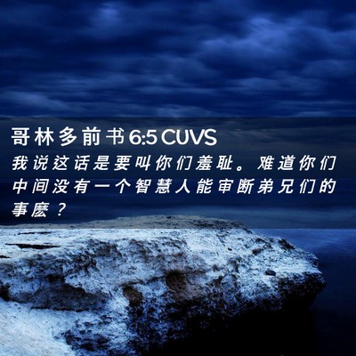 Picture 02 - 哥 林 多 前 书 6:5 CUVS - 我 说 这 话 是 要 叫 你 们 羞 耻 。 - Bible Verse Picture