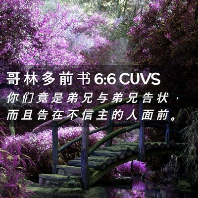Picture 02 - 哥 林 多 前 书 6:6 CUVS - 你 们 竟 是 弟 兄 与 弟 兄 告 状 ， - Bible Verse Picture