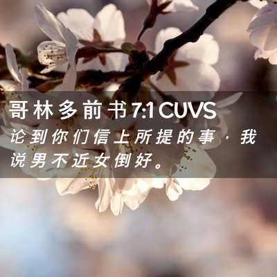 Picture 02 - 哥 林 多 前 书 7:1 CUVS - 论 到 你 们 信 上 所 提 的 事 ， 我 - Bible Verse Picture