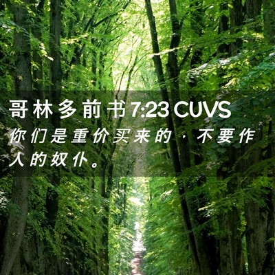 Picture 02 - 哥 林 多 前 书 7:23 CUVS - 你 们 是 重 价 买 来 的 ， 不 要 作 - Bible Verse Picture