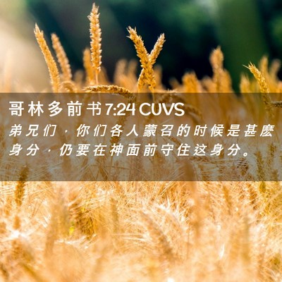 Picture 02 - 哥 林 多 前 书 7:24 CUVS - 弟 兄 们 ， 你 们 各 人 蒙 召 的 时 - Bible Verse Picture