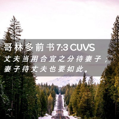 Picture 02 - 哥 林 多 前 书 7:3 CUVS - 丈 夫 当 用 合 宜 之 分 待 妻 子 ； - Bible Verse Picture