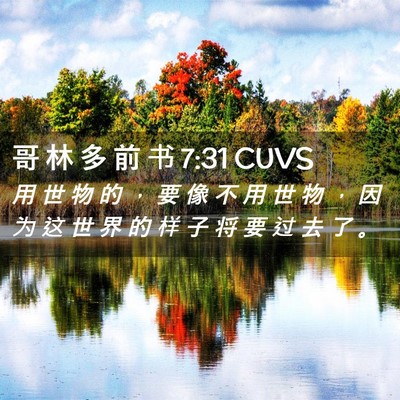 Picture 02 - 哥 林 多 前 书 7:31 CUVS - 用 世 物 的 ， 要 像 不 用 世 物 ， - Bible Verse Picture