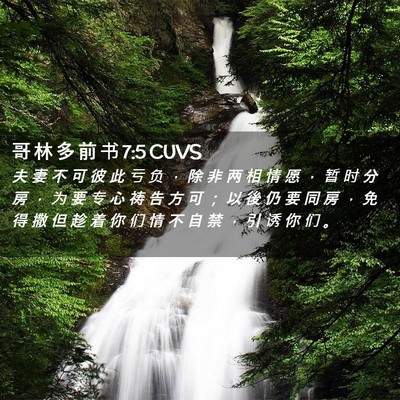 Picture 02 - 哥 林 多 前 书 7:5 CUVS - 夫 妻 不 可 彼 此 亏 负 ， 除 非 两 - Bible Verse Picture