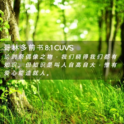 Picture 02 - 哥 林 多 前 书 8:1 CUVS - 论 到 祭 偶 像 之 物 ， 我 们 晓 得 - Bible Verse Picture