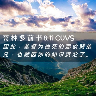 Picture 02 - 哥 林 多 前 书 8:11 CUVS - 因 此 ， 基 督 为 他 死 的 那 软 弱 - Bible Verse Picture