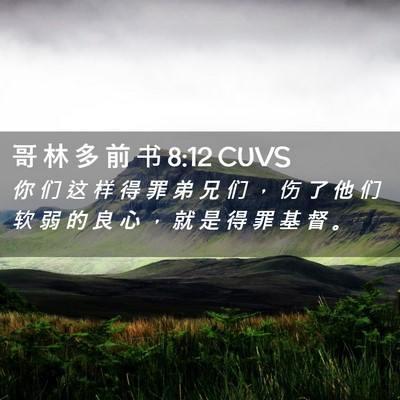 Picture 02 - 哥 林 多 前 书 8:12 CUVS - 你 们 这 样 得 罪 弟 兄 们 ， 伤 了 - Bible Verse Picture