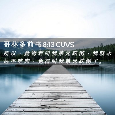 Picture 02 - 哥 林 多 前 书 8:13 CUVS - 所 以 ， 食 物 若 叫 我 弟 兄 跌 倒 - Bible Verse Picture