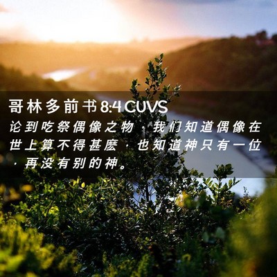 Picture 02 - 哥 林 多 前 书 8:4 CUVS - 论 到 吃 祭 偶 像 之 物 ， 我 们 知 - Bible Verse Picture