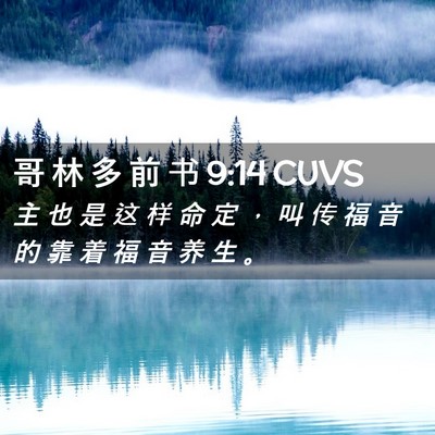 Picture 02 - 哥 林 多 前 书 9:14 CUVS - 主 也 是 这 样 命 定 ， 叫 传 福 音 - Bible Verse Picture