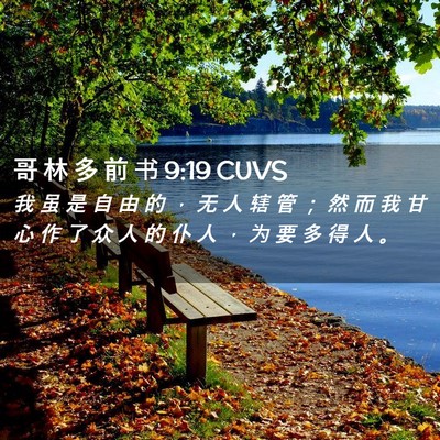 Picture 02 - 哥 林 多 前 书 9:19 CUVS - 我 虽 是 自 由 的 ， 无 人 辖 管 ； - Bible Verse Picture