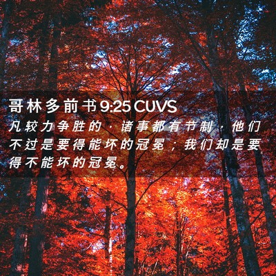 Picture 02 - 哥 林 多 前 书 9:25 CUVS - 凡 较 力 争 胜 的 ， 诸 事 都 有 节 - Bible Verse Picture