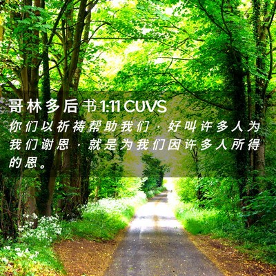 Picture 02 - 哥 林 多 后 书 1:11 CUVS - 你 们 以 祈 祷 帮 助 我 们 ， 好 叫 - Bible Verse Picture